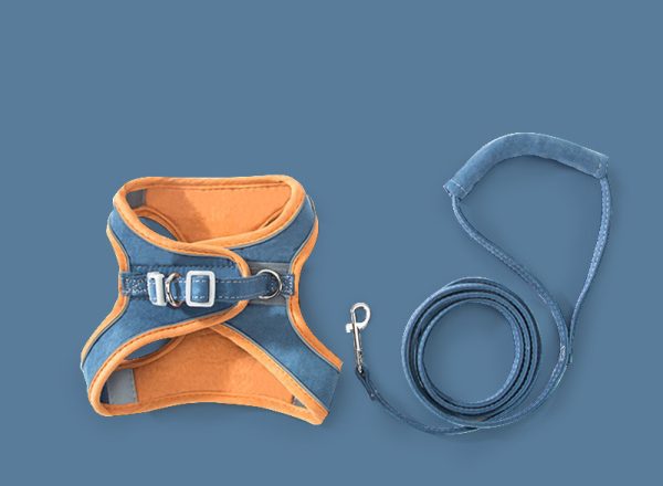 Cat Traction Rope Chest Strap To Prevent Breaking Free Pets Cat Strap - Image 4