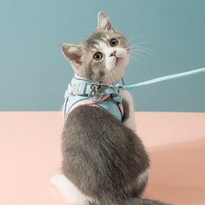 Pet travel bag