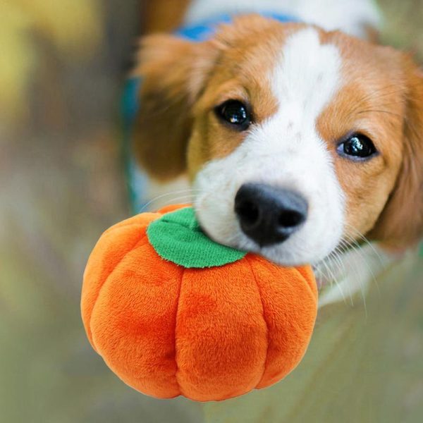 Gooddog, Dog, Plush Vocal Toys, Fruits, Cartoons, Pets, Cats, Toys, Pet Supplies - Image 6