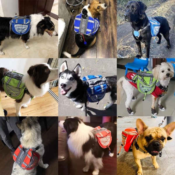 Pets from backpacks, backpacks, outdoor, self-backing, small bags, pet supplies - Image 2