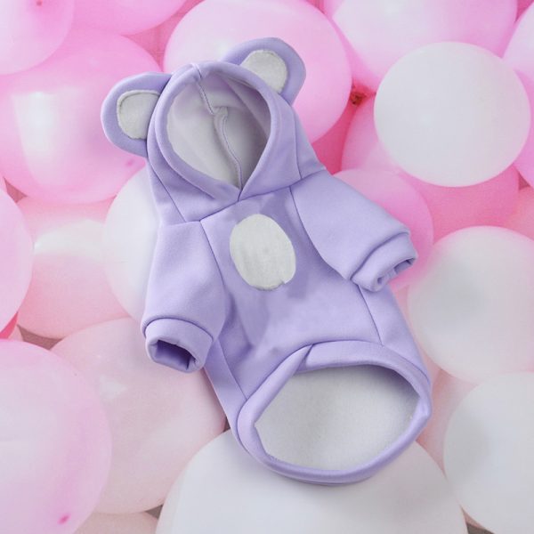 Cute Pets Turn Into Clothes - Image 5