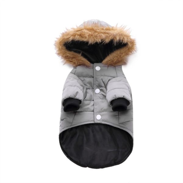 Winter clothing for pets - Image 6