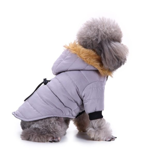 Winter clothing for pets - Image 5
