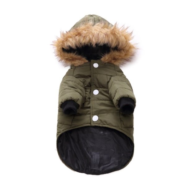 Winter clothing for pets - Image 8