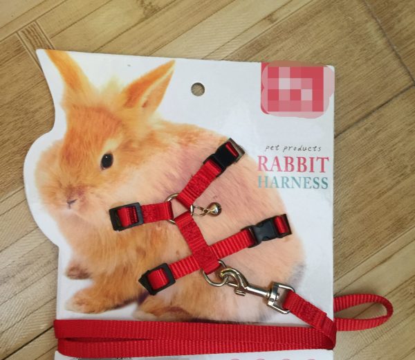 Towing rope for small pets - Image 5