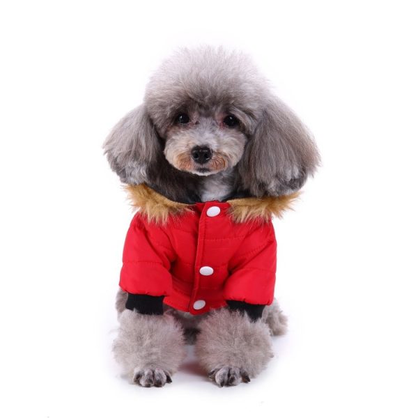 Winter clothing for pets - Image 9
