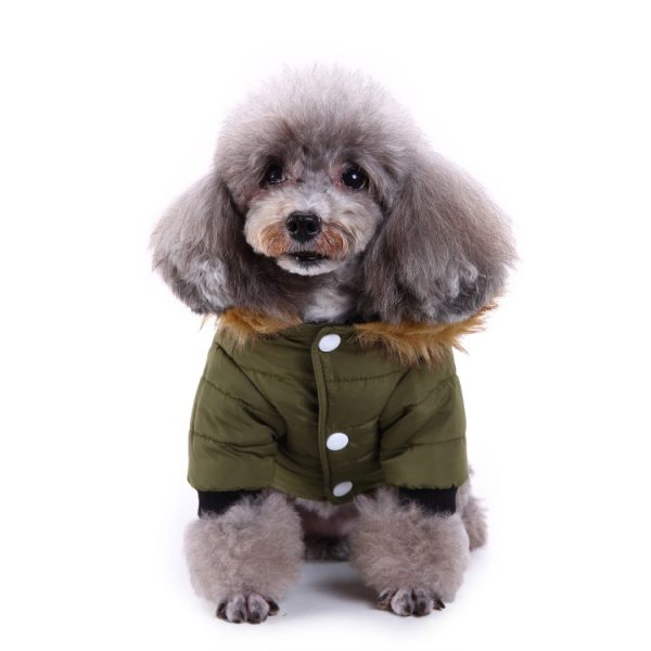 Winter clothing for pets - Image 10