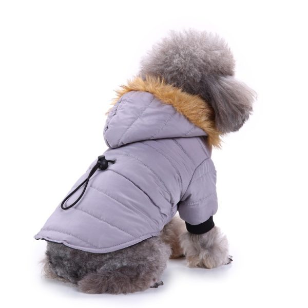 Winter clothing for pets - Image 3