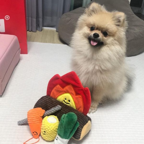 Dogs Hiding Food Sniffing Toys Pets Making Noise - Image 2