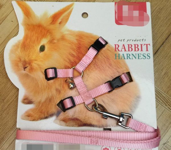 Towing rope for small pets - Image 4