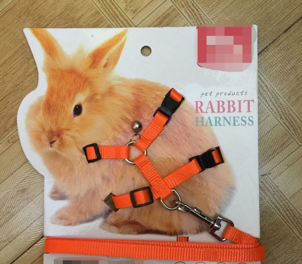 Towing rope for small pets - Image 3