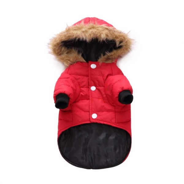 Winter clothing for pets - Image 7