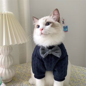 Automatic Telescopic Traction Rope For Pets