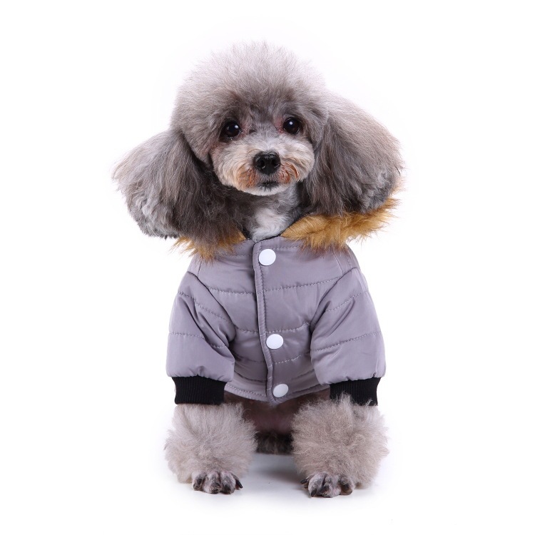 Automatic Telescopic Traction Rope For Pets