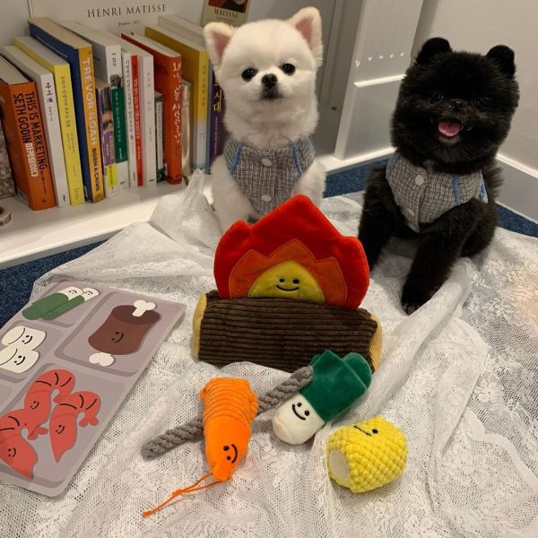 Dogs Hiding Food Sniffing Toys Pets Making Noise - Image 4