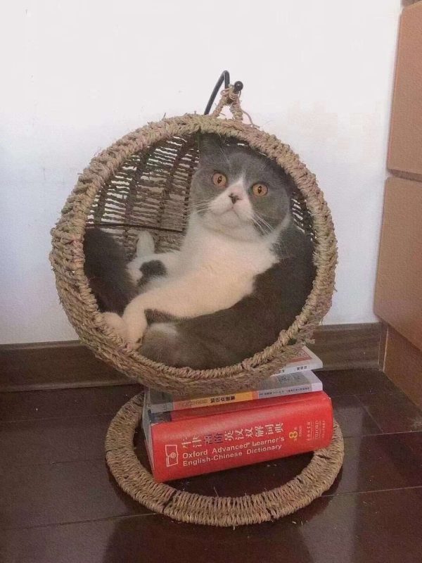 Hammock Cat Litter For Pets - Image 5