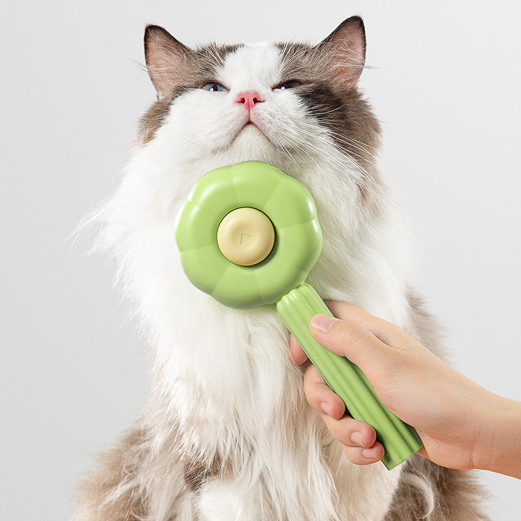 cat category