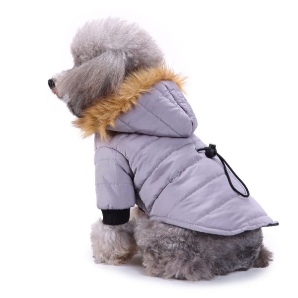 Winter clothing for pets - Image 2
