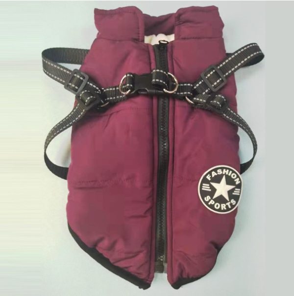 Simple And Creative Autumn And Winter Clothes For Pets - Image 6
