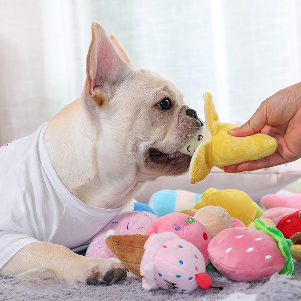 Dog Squeaky Fruit Toys | Interactive Plush Chew Accessories