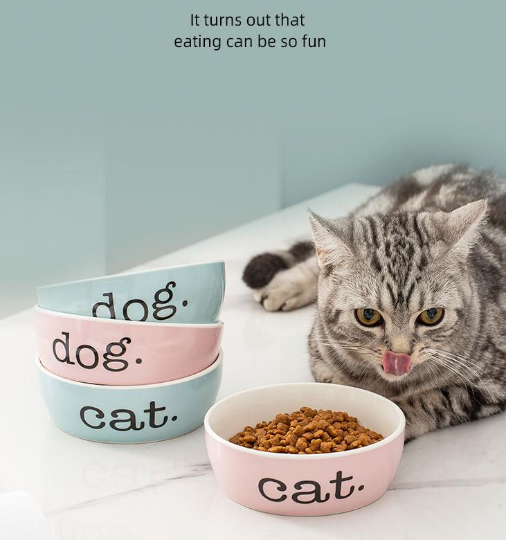 Elevated Ceramic Pet Bowl | 350ml Anti-Spill Dish