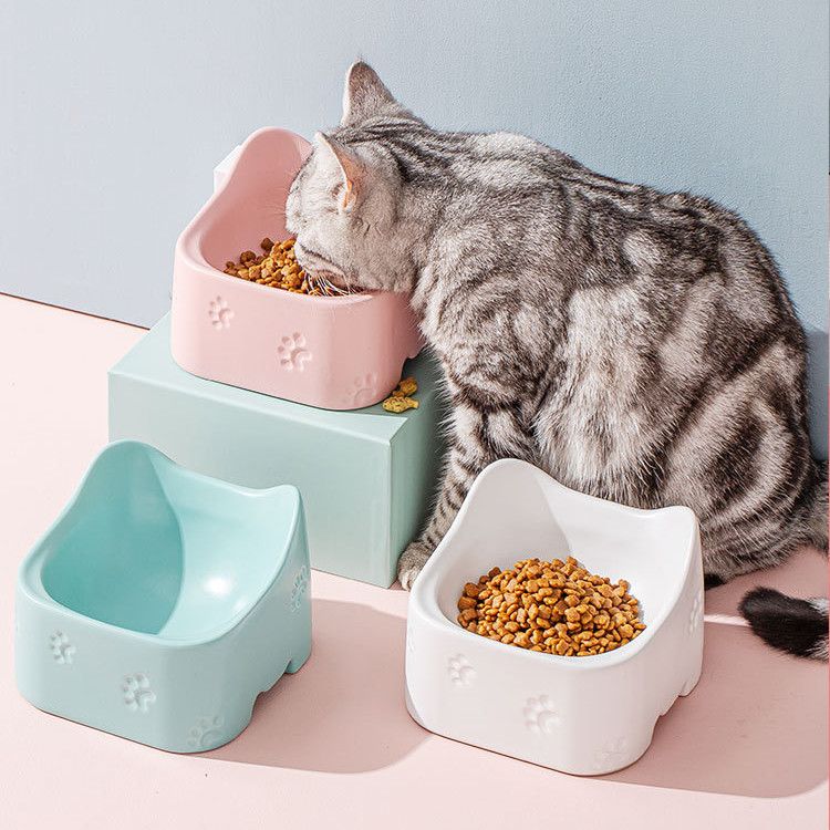 Elevated Ceramic Pet Bowl | 350ml Anti-Spill Dish