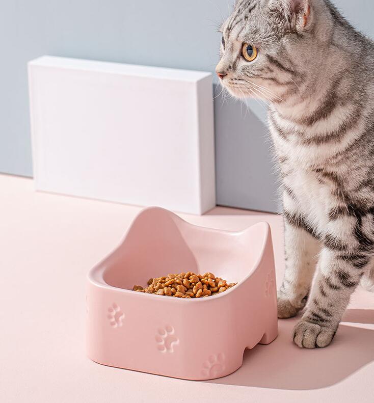 Elevated Ceramic Pet Bowl | 350ml Anti-Spill Dish