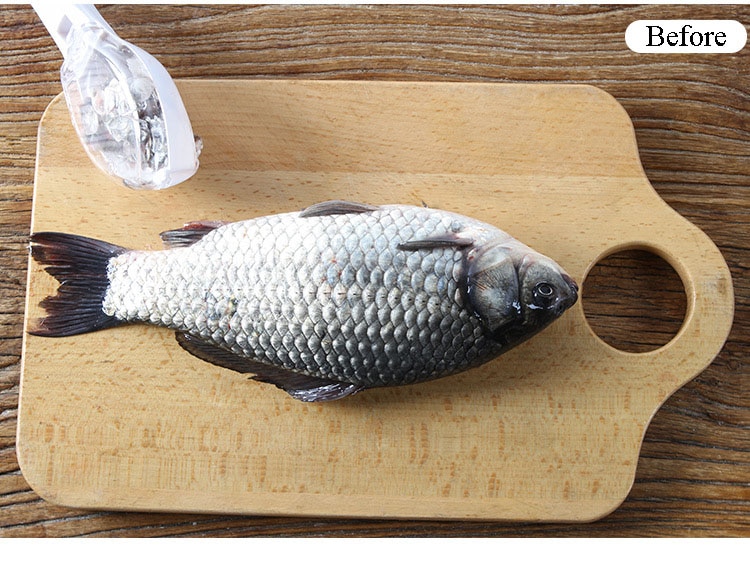 Fish Scale Scraper | Mess-Free Peeling Tool with Cover