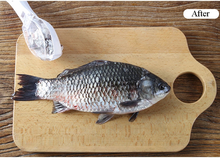 Fish Scale Scraper | Mess-Free Peeling Tool with Cover