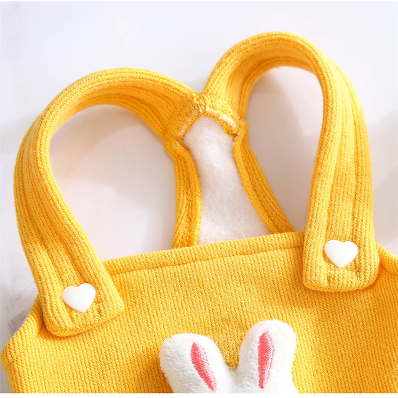 Pet Suspender Skirt | Minnie Velvet Cat & Dog Dress 10 Pet Suspender Skirt | Minnie Velvet Cat & Dog Dress