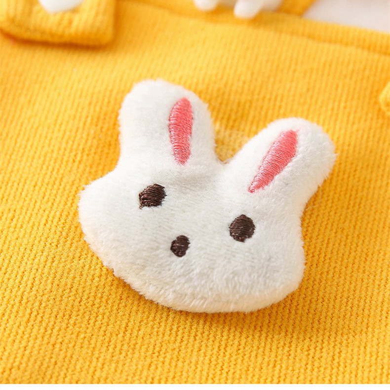 Pet Suspender Skirt | Minnie Velvet Cat & Dog Dress 13 Pet Suspender Skirt | Minnie Velvet Cat & Dog Dress