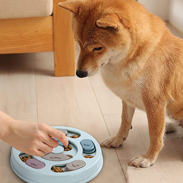 Slow Feeder Dog Bowl | Interactive Pet Puzzle Feeding Dish