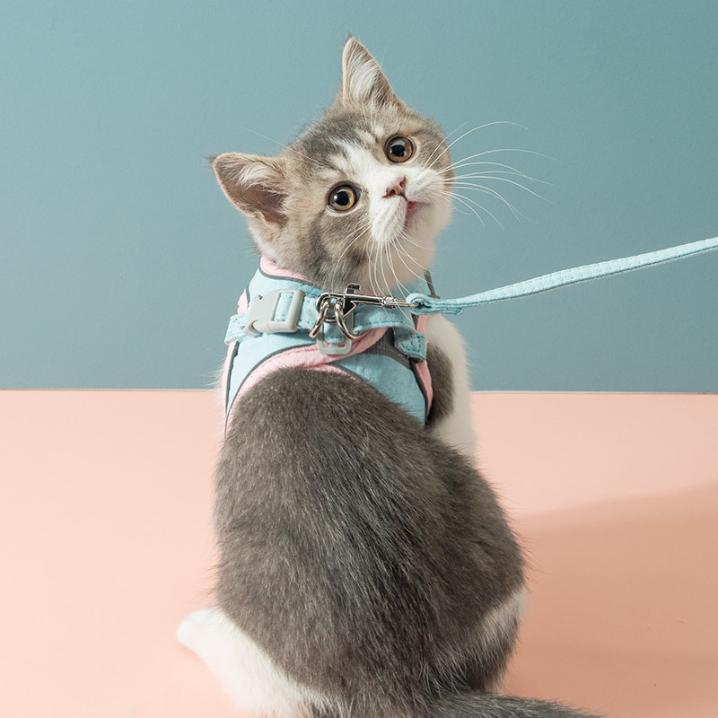 Cat Harness & Lead Set | Reflective Deerskin Velvet Strap 8 Cat Harness & Lead Set | Reflective Deerskin Velvet Strap